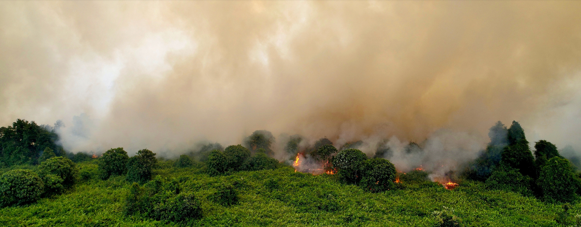 1 Agust - 28 Sept 2019: Hotspot terbanyak di kawasan hutan