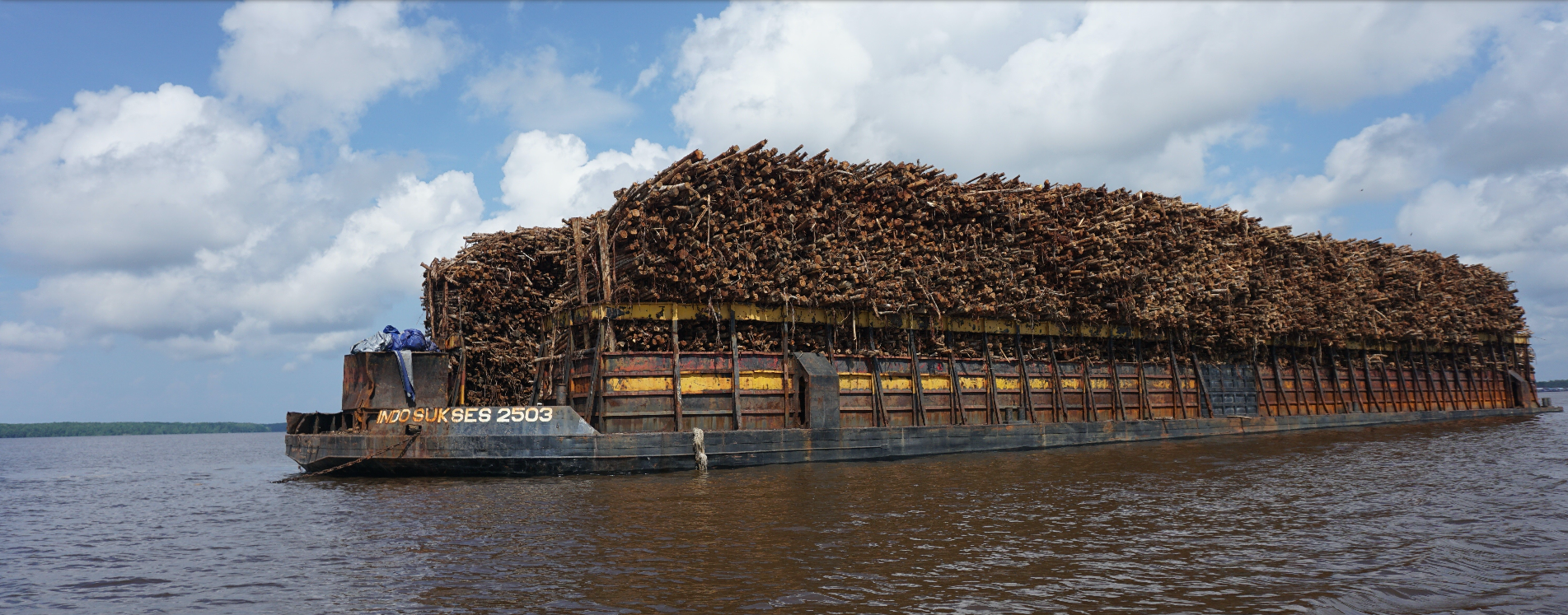 2018, APP dan APRIL masih terima kayu kontroversial Djarum Grup