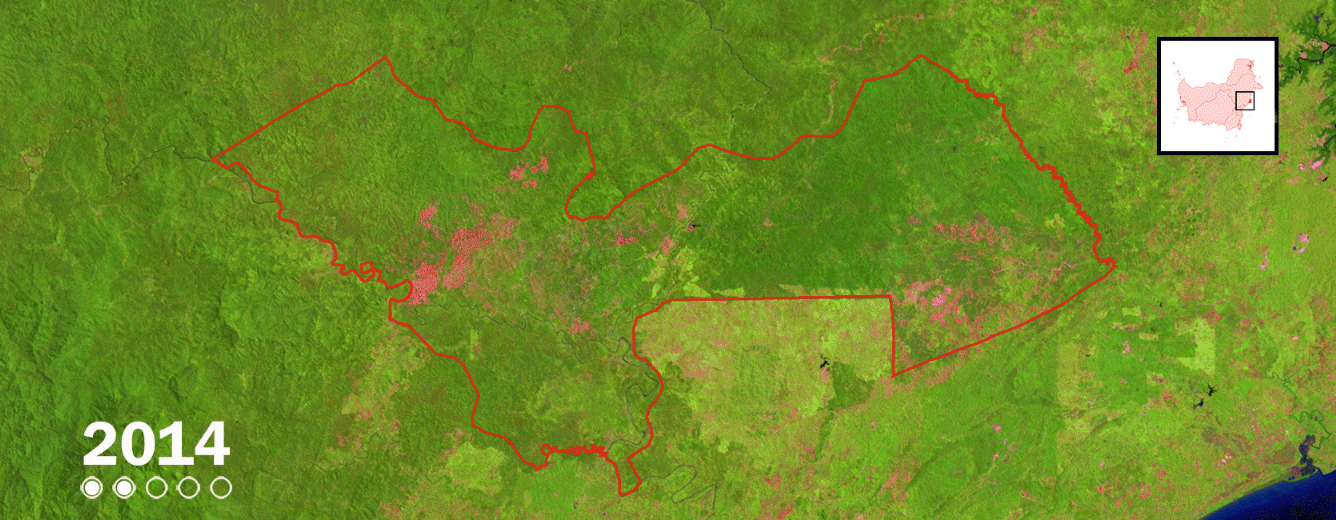 Analisis citra: Deforestasi dalam konsesi Djarum Grup di Kaltim