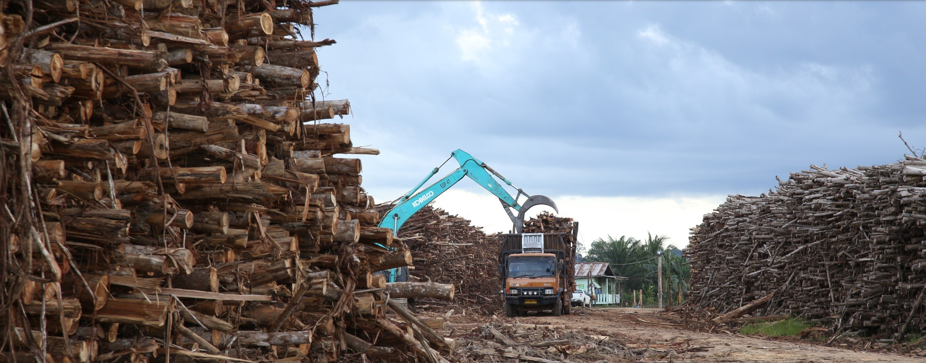 APP dan Sinar Mas Group, buka dulu topengmu