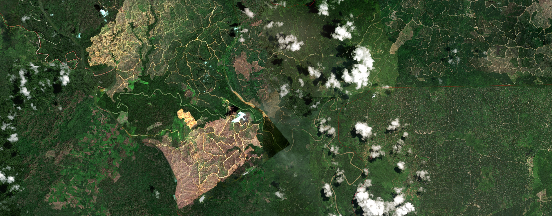 Beli kayu deforestasi Djarum, APP dan APRIL langgar komitmen