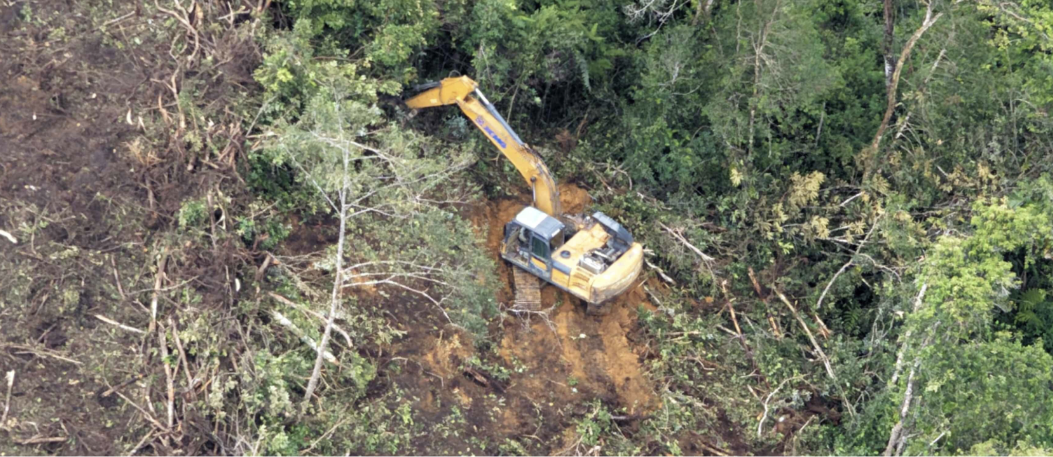 Dugaan Keterhubungan TPL dengan Bencana Ekologis di Sumatera Utara