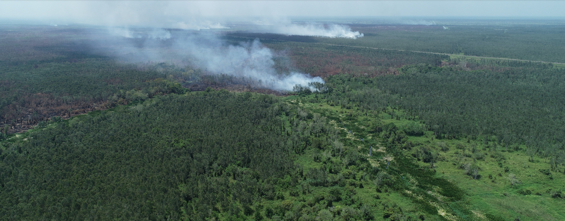 Industri pulp perparah risiko kebakaran hutan dan lahan gambut