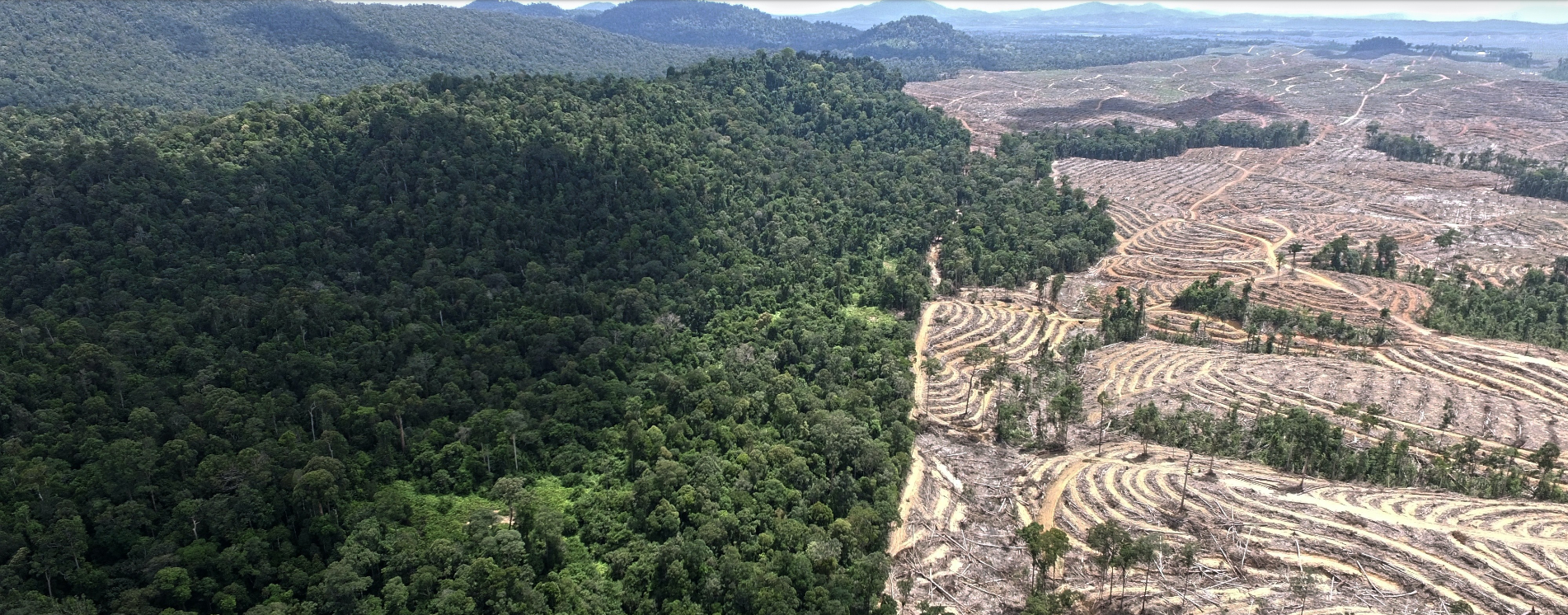 Kebijakan land-swap: Setengah hati lindungi gambut & hutan alam