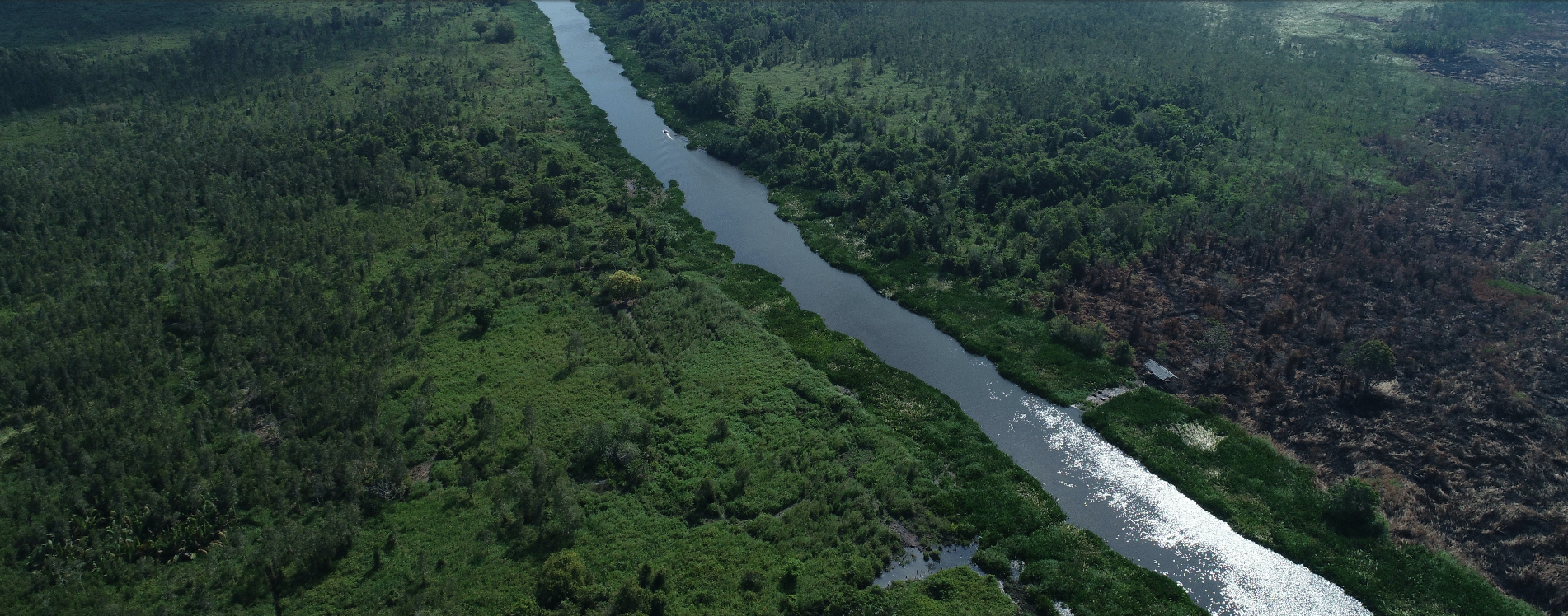 Land-swap berpotensi habiskan 400.000 ha hutan alam