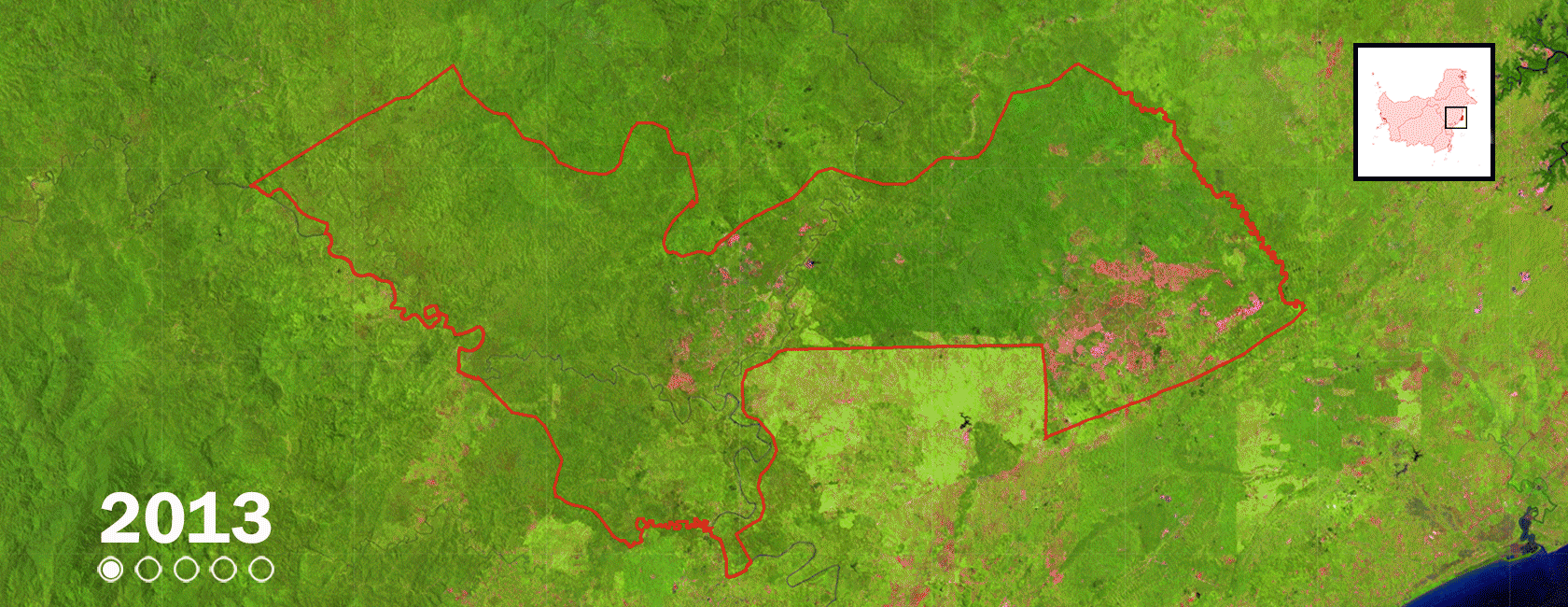 Deforestasi 2013-2017 di konsesi HTI PT Fajar Surya Swadaya (FSS), anak usaha Djarum Grup. Banyak daerah yang pada 2013 berupa hutan (warna hijau) dihabisi pada 2014-2017 (warna ungu). 2018 ©Landsat.